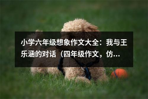 小學六年級想象作文大全：我與王樂涵的對話（四年級作文，仿寫課文） (350字)