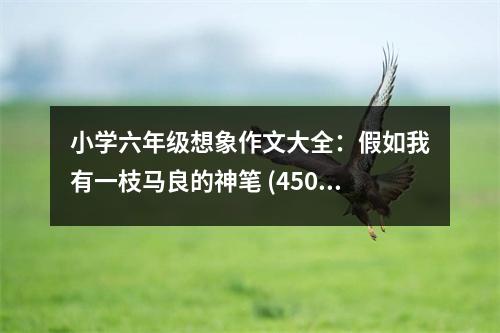 小學六年級想象作文大全：假如我有一枝馬良的神筆 (450字)