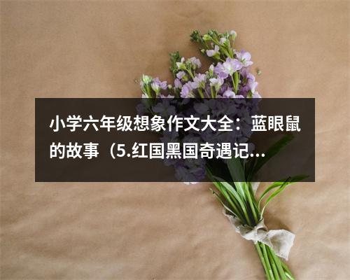 小學(xué)六年級想象作文大全：藍眼鼠的故事（5.紅國黑國奇遇記） (500字)