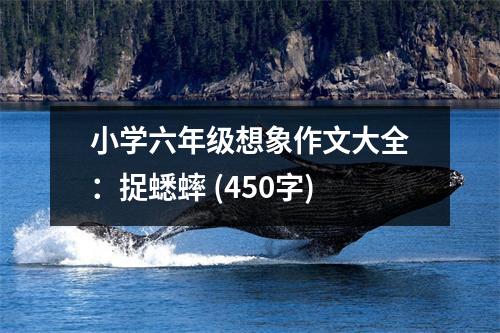 小學(xué)六年級想象作文大全：捉蟋蟀 (450字)