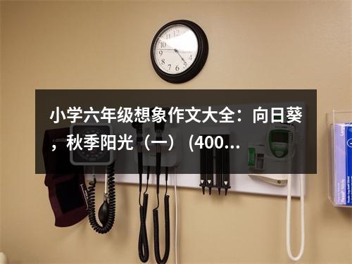 小學(xué)六年級(jí)想象作文大全：向日葵，秋季陽(yáng)光（一） (400字)