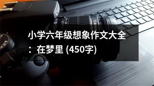 小學(xué)六年級(jí)想象作文大全：在夢(mèng)里 (450字)