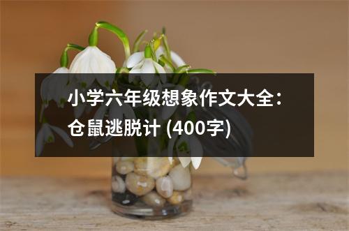 小學(xué)六年級想象作文大全：倉鼠逃脫計(jì) (400字)