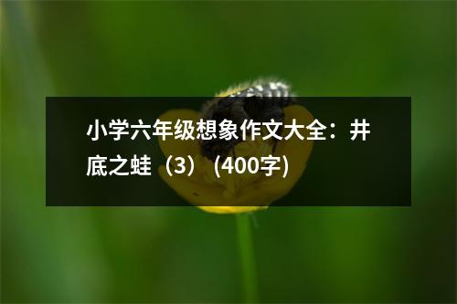 小學(xué)六年級想象作文大全：井底之蛙（3） (400字)