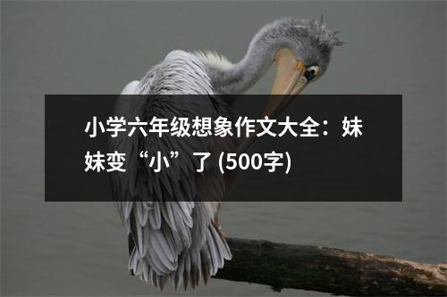 小學六年級想象作文大全：妹妹變“小”了 (500字)