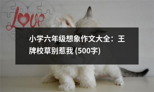 小學(xué)六年級(jí)想象作文大全：王牌校草別惹我 (500字)