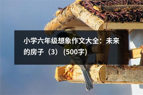 小學(xué)六年級(jí)想象作文大全：未來的房子（3） (500字)