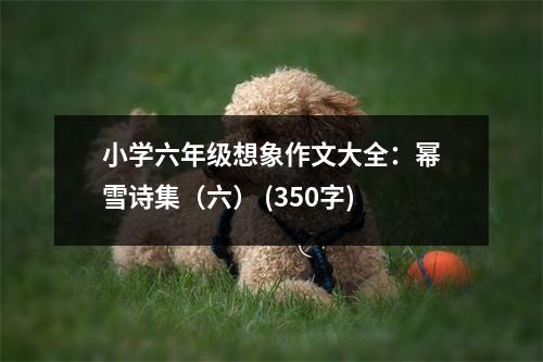 小學六年級想象作文大全：冪雪詩集（六） (350字)