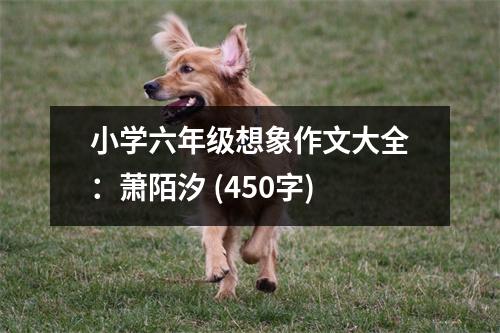 小學(xué)六年級(jí)想象作文大全：蕭陌汐 (450字)