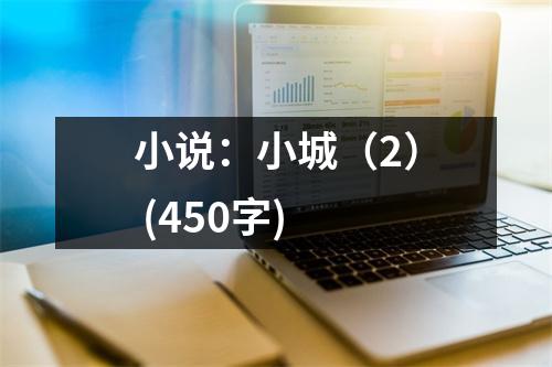 小說(shuō)：小城（2） (450字)