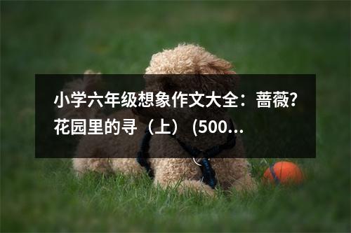 小學(xué)六年級(jí)想象作文大全：薔薇？花園里的尋（上） (500字)
