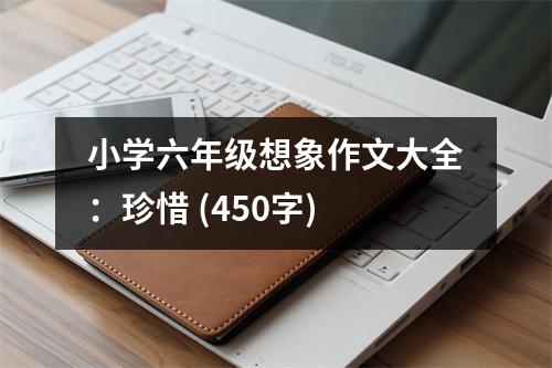 小學(xué)六年級(jí)想象作文大全：珍惜 (450字)