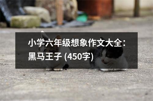 小學(xué)六年級想象作文大全：黑馬王子 (450字)