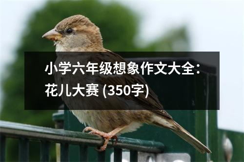 小學(xué)六年級想象作文大全：花兒大賽 (350字)