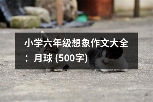 小學(xué)六年級想象作文大全：月球 (500字)