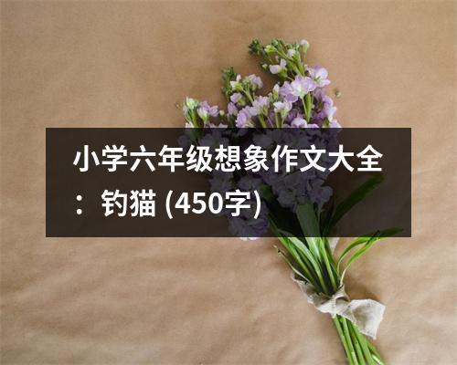 小學(xué)六年級想象作文大全：釣貓 (450字)