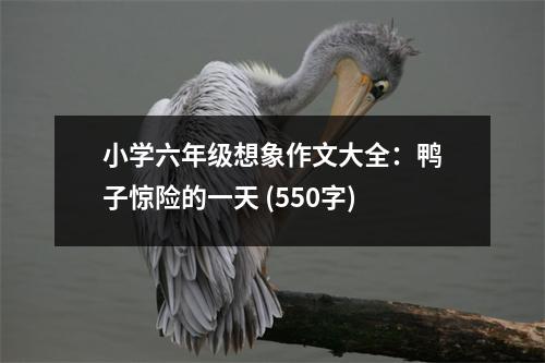 小學(xué)六年級想象作文大全：鴨子驚險的一天 (550字)