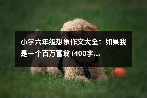 小學(xué)六年級想象作文大全：如果我是一個百萬富翁 (400字)