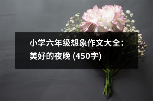 小學(xué)六年級想象作文大全：美好的夜晚 (450字)