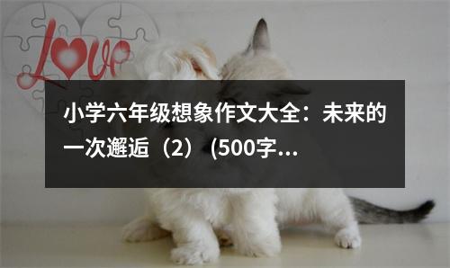 小學(xué)六年級想象作文大全：未來的一次邂逅（2） (500字)
