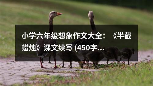小學(xué)六年級想象作文大全：《半截蠟燭》課文續(xù)寫 (450字)