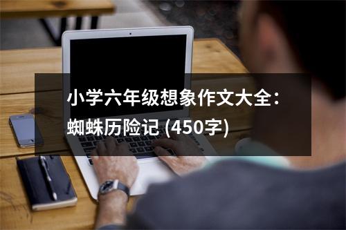 小學(xué)六年級想象作文大全：蜘蛛歷險記 (450字)