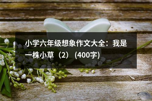 小學(xué)六年級想象作文大全：我是一株小草（2） (400字)