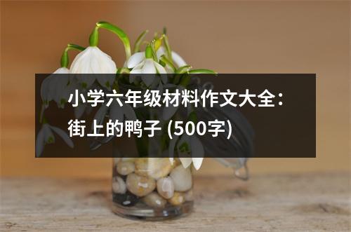 小學(xué)六年級材料作文大全：街上的鴨子 (500字)