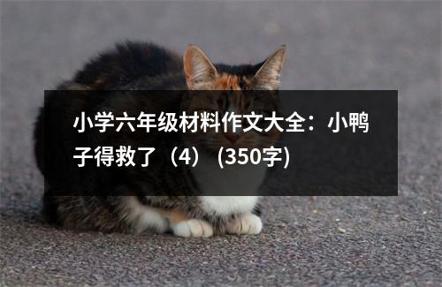 小學(xué)六年級(jí)材料作文大全：小鴨子得救了（4） (350字)