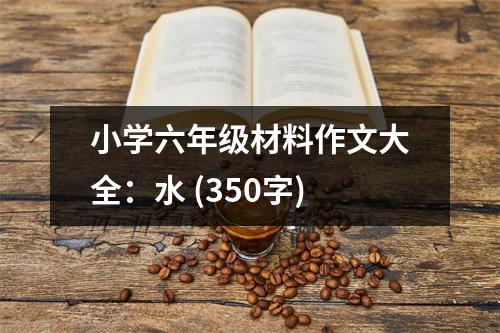 小學(xué)六年級(jí)材料作文大全：水 (350字)
