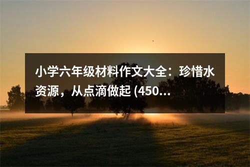 小學(xué)六年級材料作文大全：珍惜水資源，從點(diǎn)滴做起 (450字)