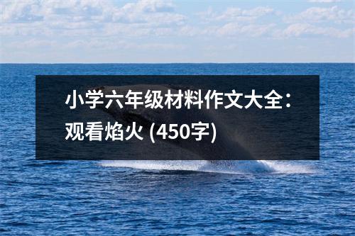 小學(xué)六年級材料作文大全：觀看焰火 (450字)