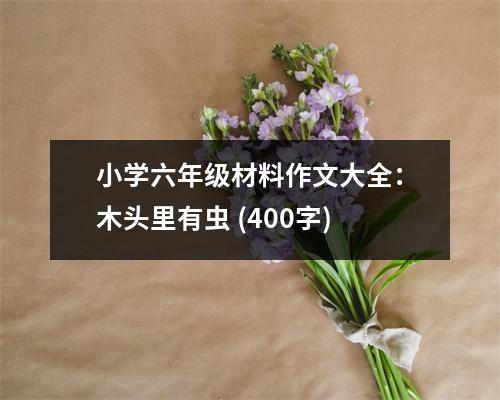 小學(xué)六年級(jí)材料作文大全：木頭里有蟲(chóng) (400字)