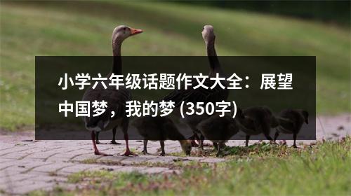小學(xué)六年級(jí)話題作文大全：展望中國夢，我的夢 (350字)