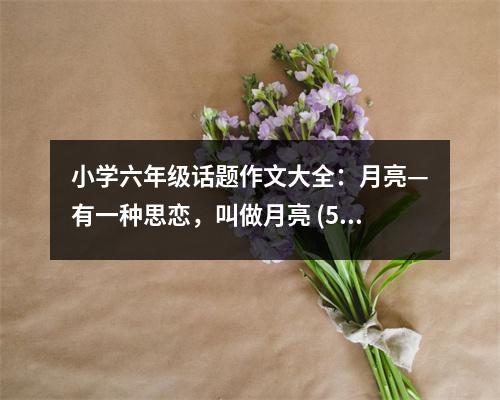 小學(xué)六年級話題作文大全：月亮—有一種思戀，叫做月亮 (500字)