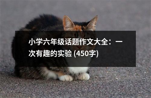 小學(xué)六年級(jí)話題作文大全：一次有趣的實(shí)驗(yàn) (450字)