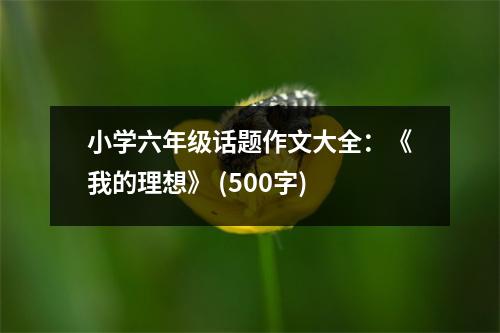 小學(xué)六年級話題作文大全：《我的理想》 (500字)