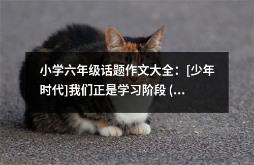 小學六年級話題作文大全：[少年時代]我們正是學習階段 (400字)