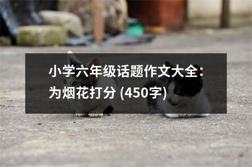 小學(xué)六年級(jí)話題作文大全：為煙花打分 (450字)