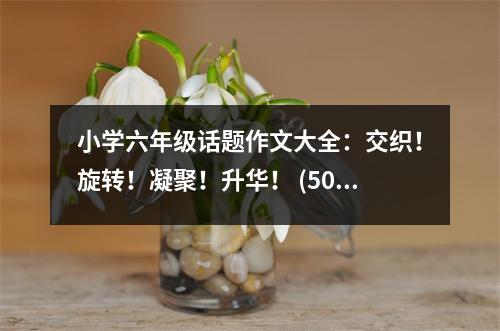 小學(xué)六年級(jí)話題作文大全：交織！旋轉(zhuǎn)！凝聚！升華！ (500字)