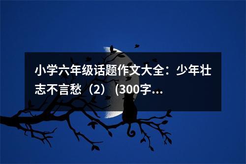 小學(xué)六年級(jí)話題作文大全：少年壯志不言愁（2） (300字)