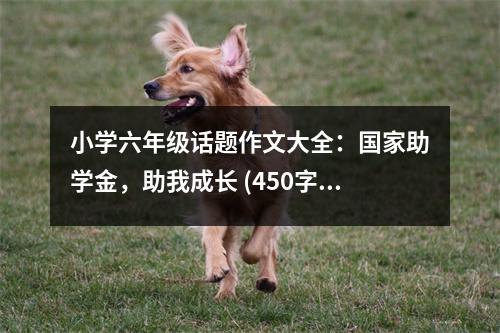 小學六年級話題作文大全：國家助學金，助我成長 (450字)