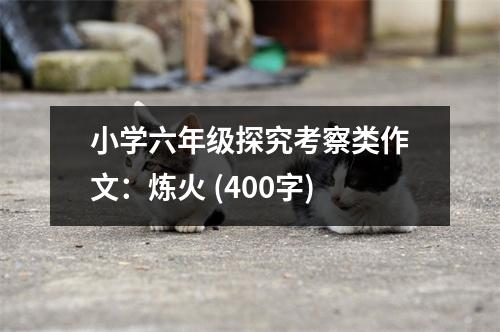 小學(xué)六年級(jí)探究考察類作文：煉火 (400字)