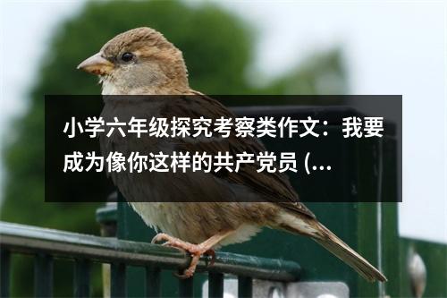 小學六年級探究考察類作文：我要成為像你這樣的共產(chǎn)黨員 (500字)