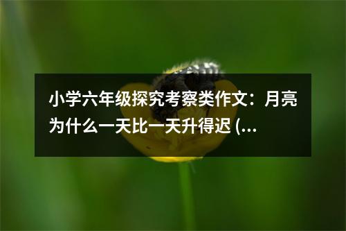 小學(xué)六年級探究考察類作文：月亮為什么一天比一天升得遲 (350字)