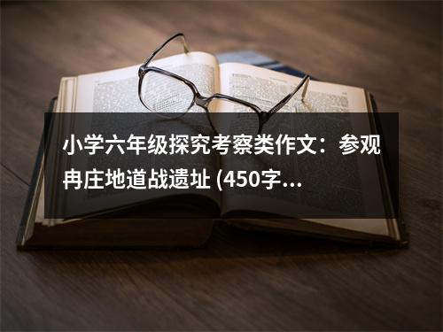 小學(xué)六年級探究考察類作文：參觀冉莊地道戰(zhàn)遺址 (450字)