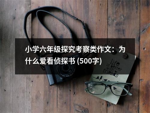 小學(xué)六年級(jí)探究考察類作文：為什么愛看偵探書 (500字)
