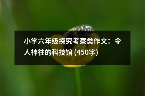 小學(xué)六年級(jí)探究考察類作文：令人神往的科技館 (450字)