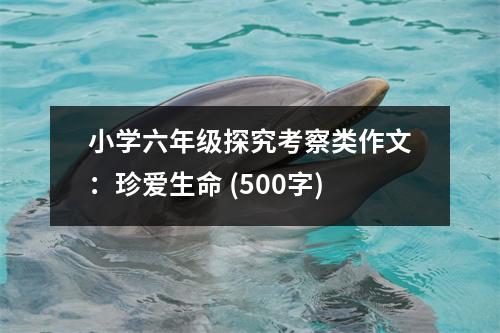 小學(xué)六年級探究考察類作文：珍愛生命 (500字)