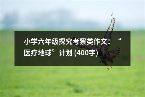 小學六年級探究考察類作文：“醫(yī)療地球”計劃 (400字)